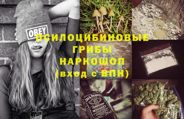 дживик Балахна