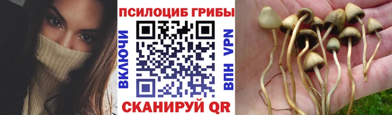 Псилоцибиновые грибы MAGIC MUSHROOMS Гаджиево