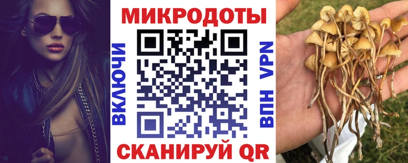 Галлюциногенные грибы мицелий  МЕГА как войти  Гаджиево  купить наркоту 